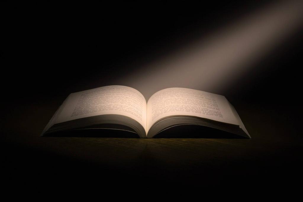 Spin Positive Book