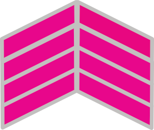 The Pink Level Master Rank is four pink chevrons pointed upward with silver borders stacked upon each other.